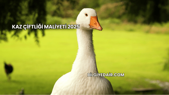 Kaz Çiftliği Maliyeti 2025