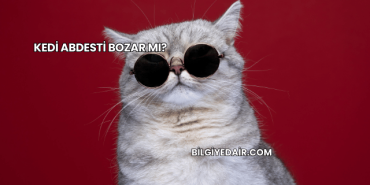 Kedi Abdesti Bozar mı?