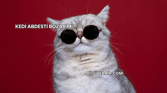 Kedi Abdesti Bozar mı?
