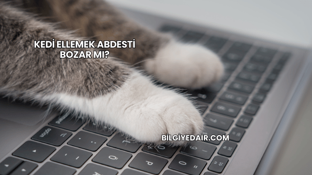 Kedi Ellemek Abdesti Bozar mı?