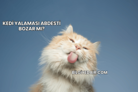 Kedi Yalaması Abdesti Bozar mı?