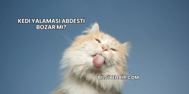 Kedi Yalaması Abdesti Bozar mı?