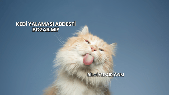Kedi Yalaması Abdesti Bozar mı?