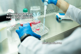 Kök Hücre ile Kas Hastalığı Tedavisi