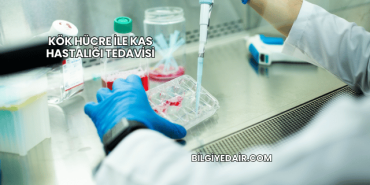 Kök Hücre ile Kas Hastalığı Tedavisi