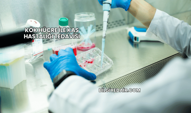 Kök Hücre ile Kas Hastalığı Tedavisi
