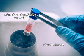 Kök Hücre ile Körlük Tedavisi