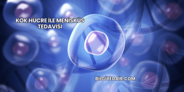 Kök Hücre ile Menisküs Tedavisi