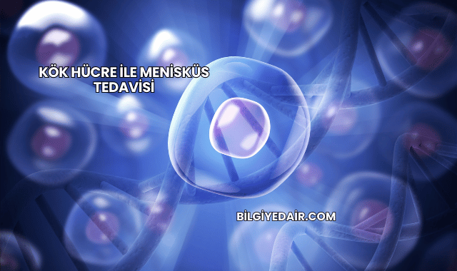 Kök Hücre ile Menisküs Tedavisi