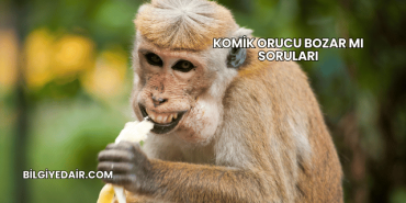 Komik Orucu Bozar mı Soruları