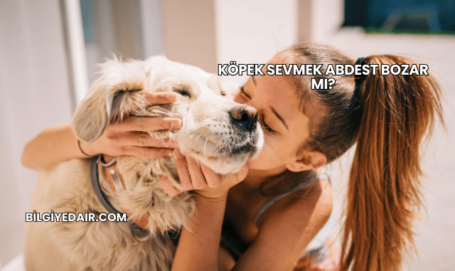 Köpek Sevmek Abdest Bozar mı?