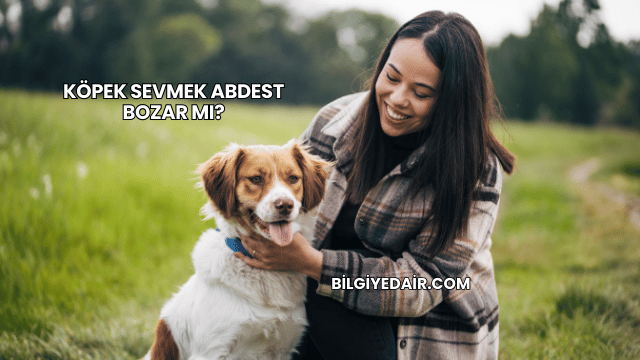 Köpek Sevmek Abdest Bozar mı?