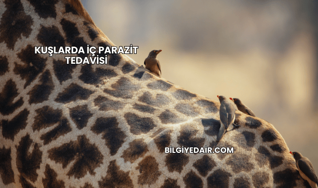 Kuşlarda İç Parazit Tedavisi