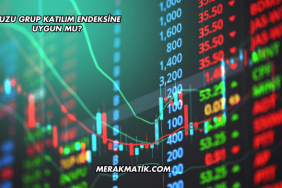 Kuzu Grup Katılım Endeksine Uygun mu?