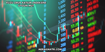 Kuzu Grup Katılım Endeksine Uygun mu?