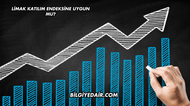 Limak Katılım Endeksine Uygun mu?
