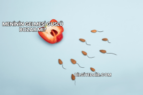 Meninin Gelmesi Guslü Bozar mı?