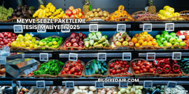 Meyve Sebze Paketleme Tesisi Maliyeti 2025