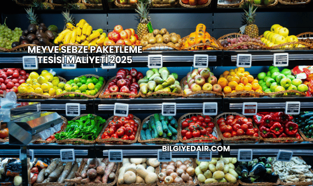 Meyve Sebze Paketleme Tesisi Maliyeti 2025