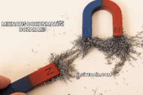 Mıknatıs Dokunmatiği Bozar mı?