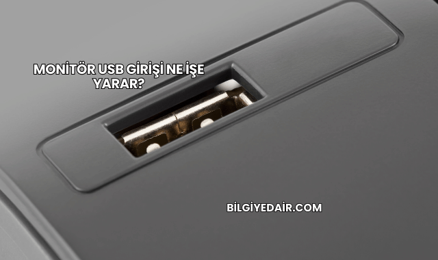 Monitör USB Girişi Ne İşe Yarar?