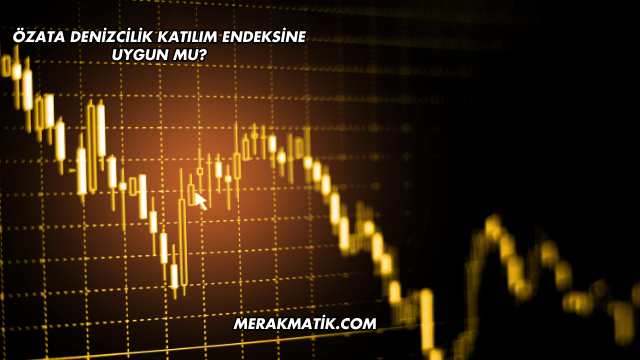 Özata Denizcilik Katılım Endeksine Uygun mu?