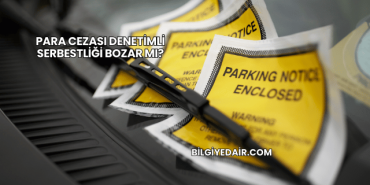 Para Cezası Denetimli Serbestliği Bozar mı?