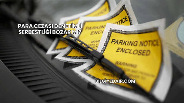 Para Cezası Denetimli Serbestliği Bozar mı?
