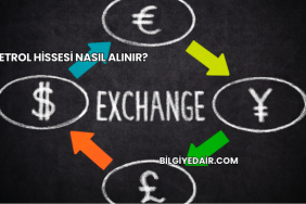 Petrol Hissesi Nasıl Alınır?