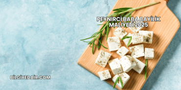 Peynirci Baba Bayilik Maliyeti 2025