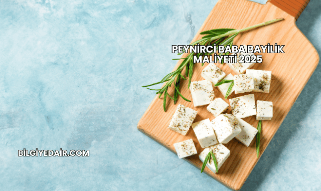 Peynirci Baba Bayilik Maliyeti 2025