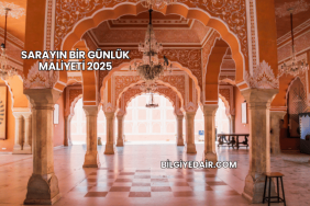 Sarayın Bir Günlük Maliyeti 2025