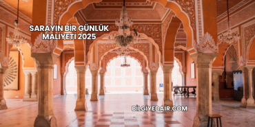 Sarayın Bir Günlük Maliyeti 2025