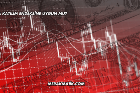 Sasa Katılım Endeksine Uygun mu?