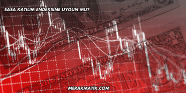 Sasa Katılım Endeksine Uygun mu?