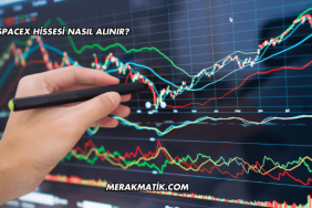 SpaceX Hissesi Nasıl Alınır?