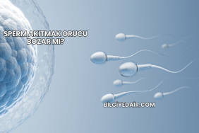 Sperm Akıtmak Orucu Bozar mı?