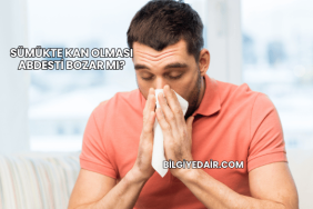 Sümükte Kan Olması Abdesti Bozar mı?