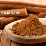 Tarçın Leptini Bozar mı?