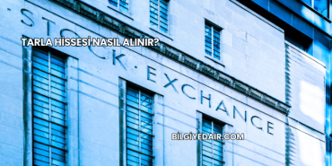 Tarla Hissesi Nasıl Alınır?