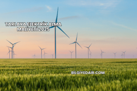 Tarlaya Elektrik Alma Maliyeti 2025