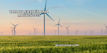 Tarlaya Elektrik Alma Maliyeti 2025