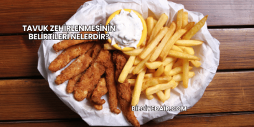 Tavuk Zehirlenmesinin Belirtileri Nelerdir?