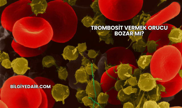 Trombosit Vermek Orucu Bozar mı?