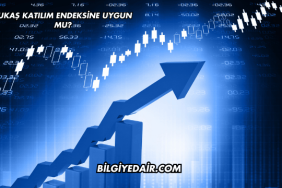 Tukaş Katılım Endeksine Uygun mu?