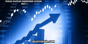 Tukaş Katılım Endeksine Uygun mu?