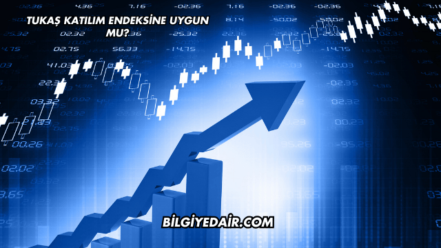 Tukaş Katılım Endeksine Uygun mu?