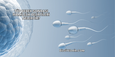 Tüp Bebek Sonrası Hamilelik Belirtileri Nelerdir?