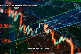 Tüpraş Katılım Endeksine Uygun mu?