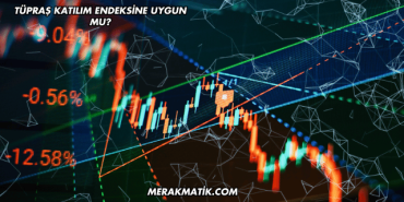 Tüpraş Katılım Endeksine Uygun mu?